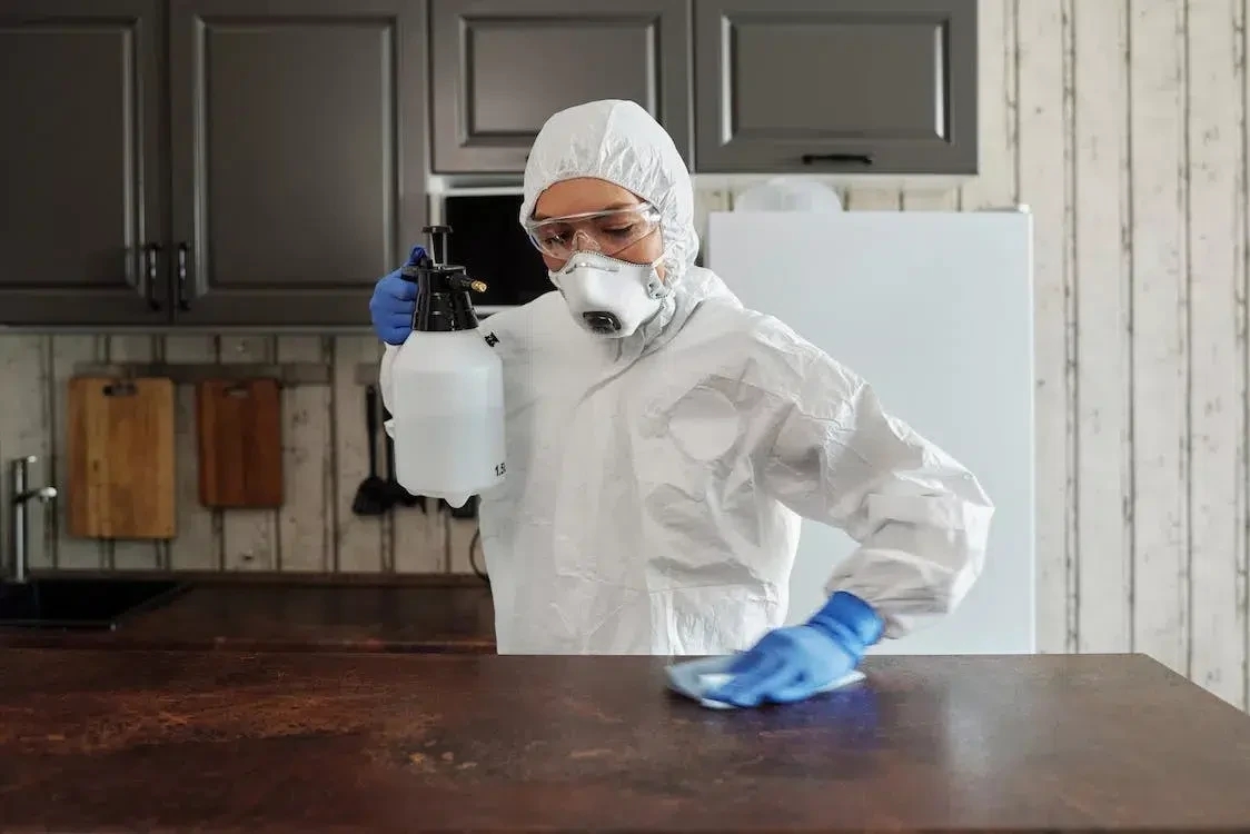 Here Are Three Tips For Keeping Your Kitchen Tidy cover image