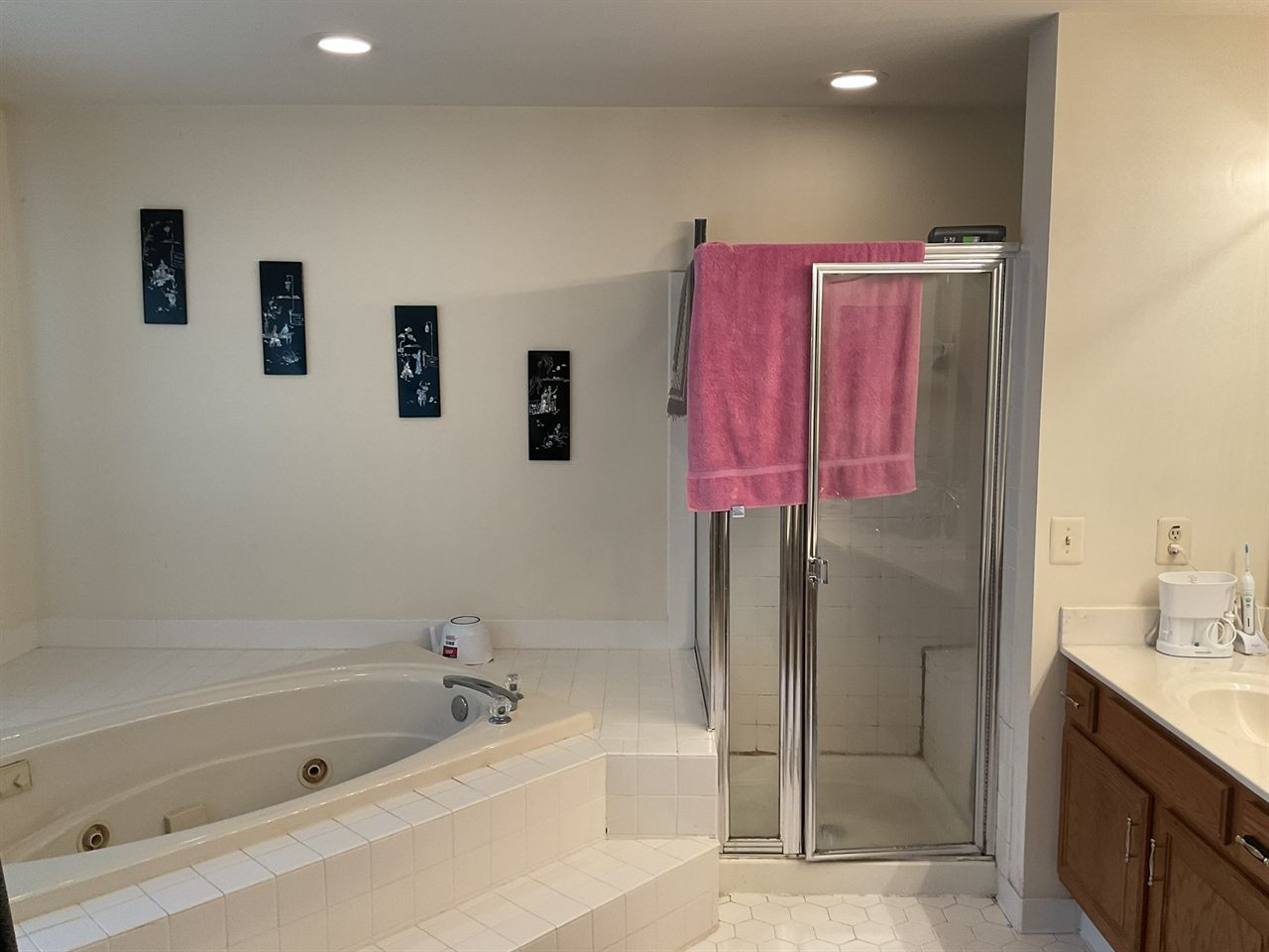 6624 Pelhams Trce Bathroom Remodel before and after 3 before
