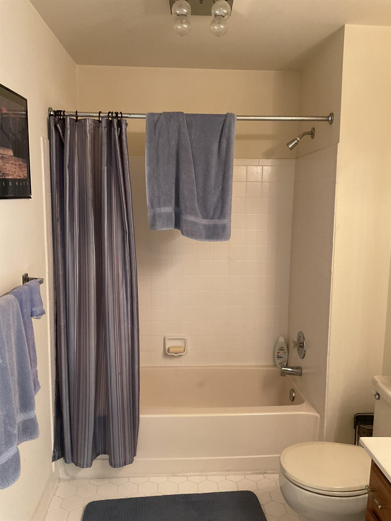 6624 Pelhams Trce Bathroom Remodel before and after 7 before