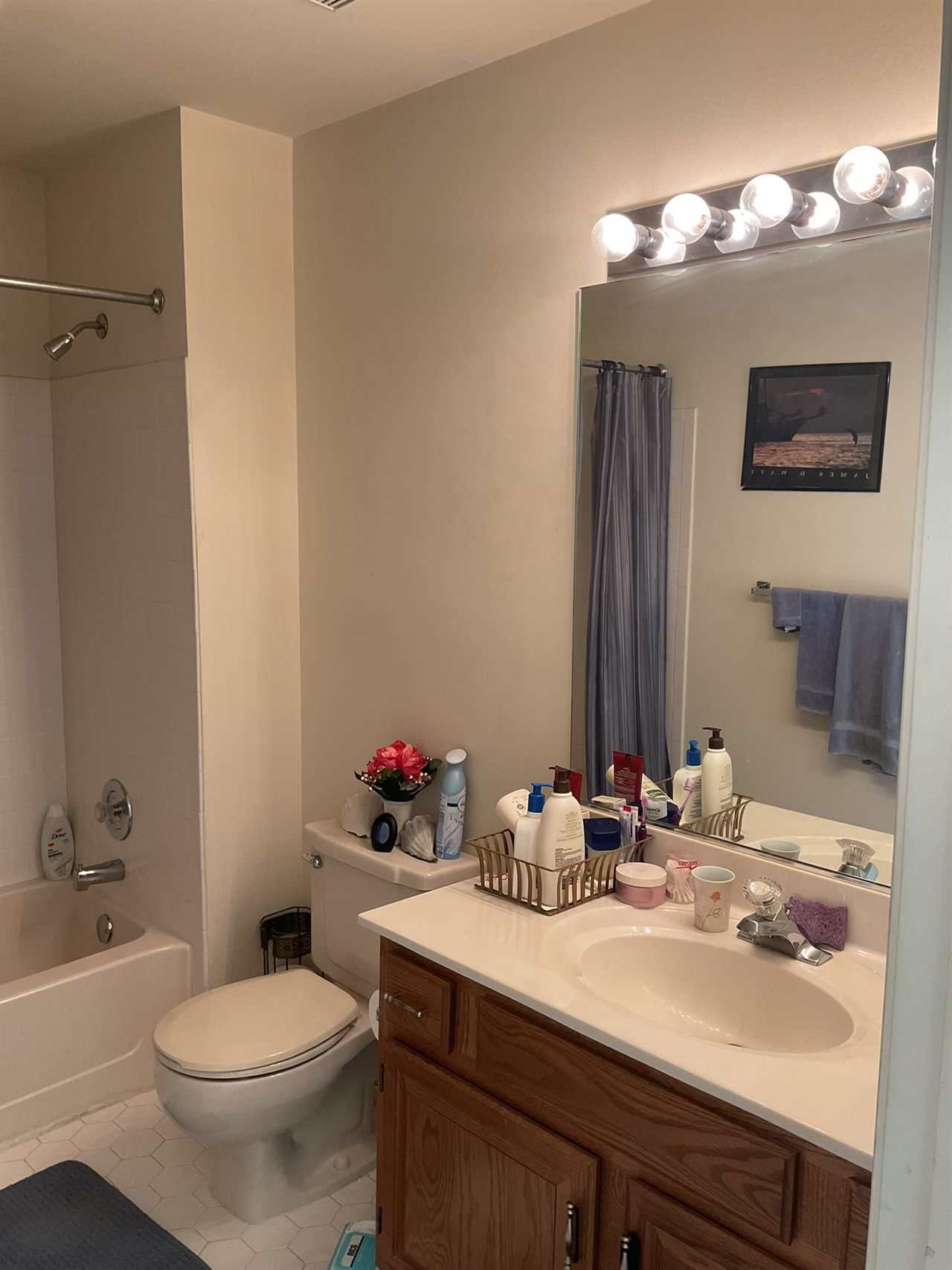 6624 Pelhams Trce Bathroom Remodel before and after 8 before