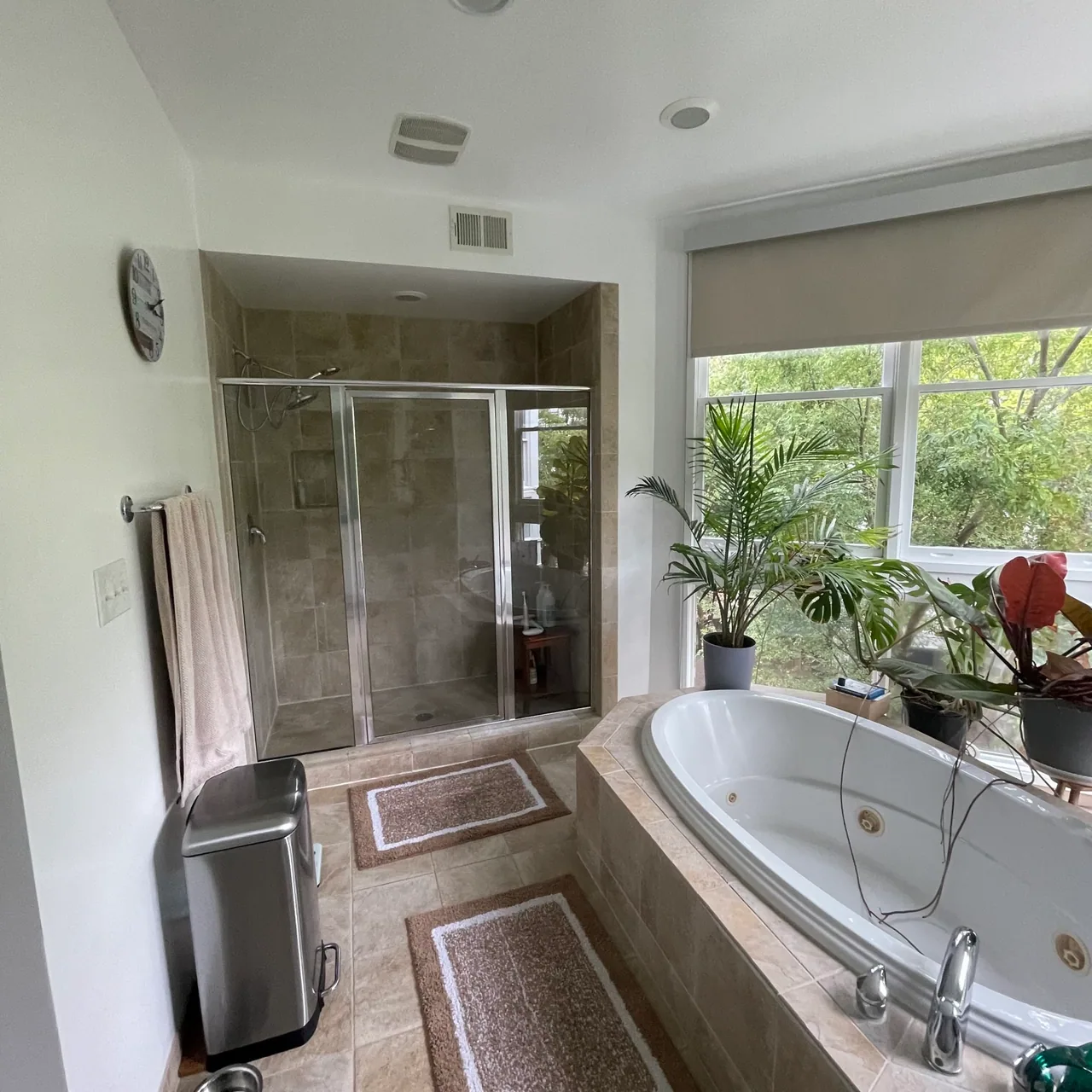 Fairfax Bathroom Remodel before